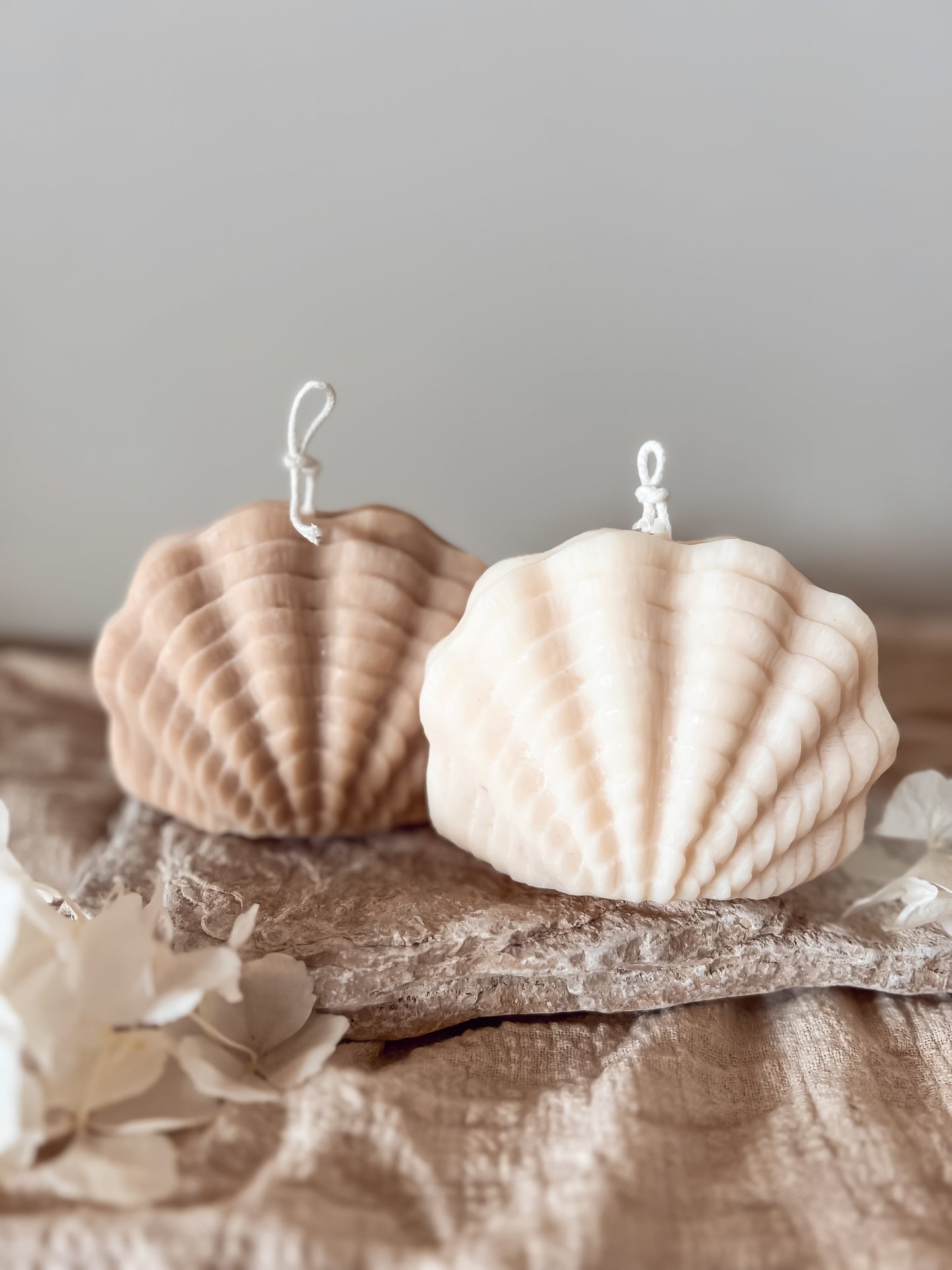 The Shell - Muschelkerze